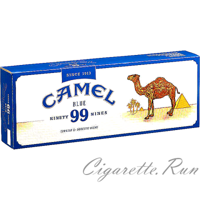 Camel Blue 99's Box
